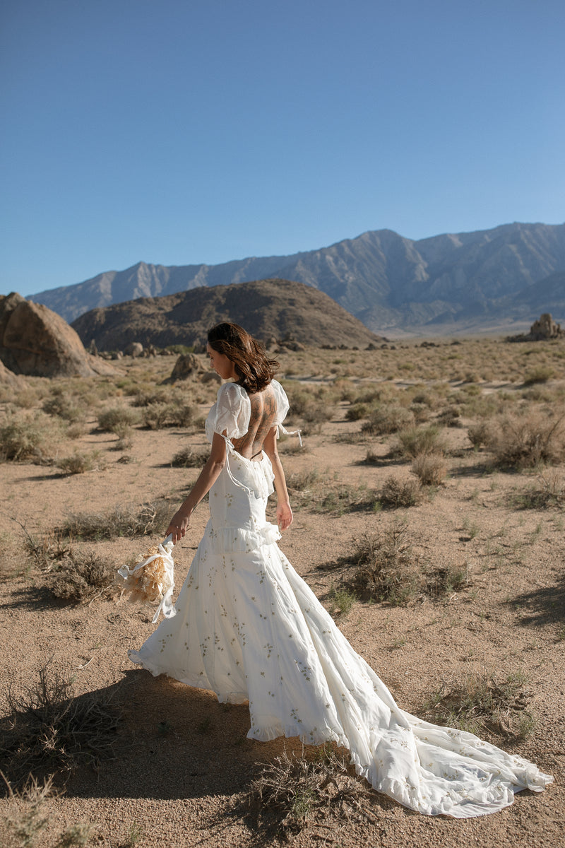 Daughters of Simone Wedding Dresses