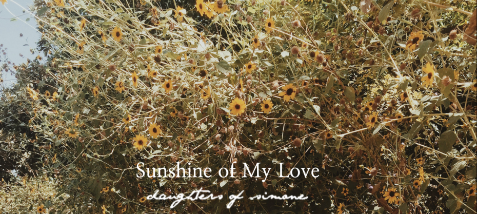 behind the 2017 collection: sunshine of my love